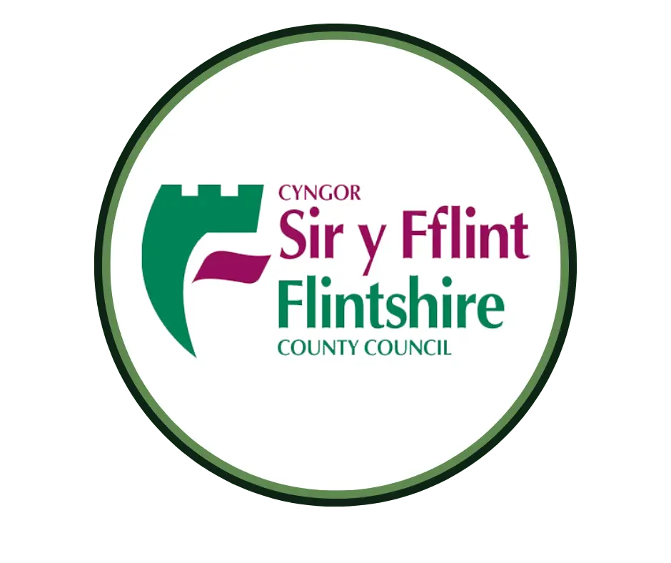 Flint County Council